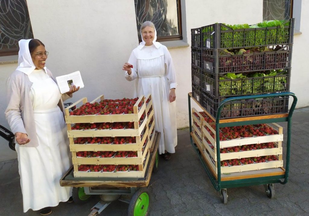 딸기도 모든 자매들에게 딸기도 모든 자매들에게