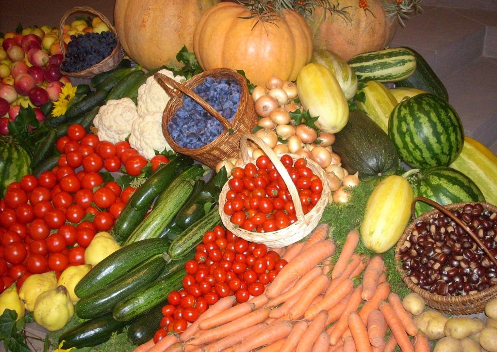 수확케 하심에 감사합니다 수확케 하심에 감사합니다