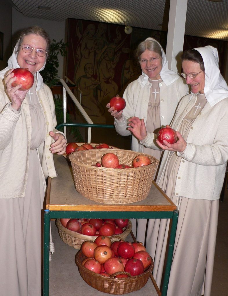 각 자매마다 이스라엘에서 온 석류 하나씩! 각 자매마다 이스라엘에서 온 석류 하나씩!